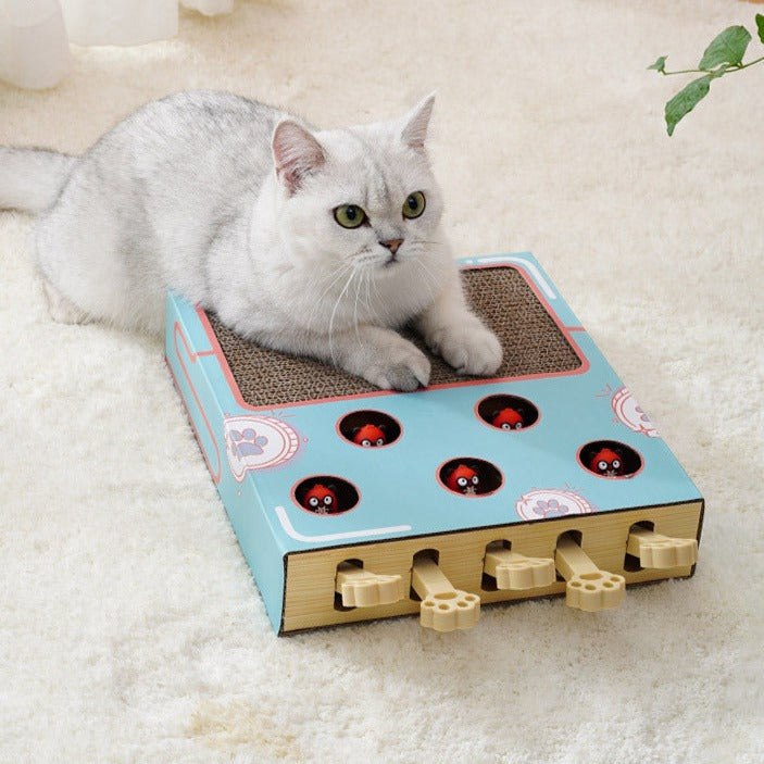 Cat Whack-a-mole Toy in use